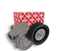 Tendicinghia multirighe Automatico 19487 FEBI BILSTEIN per OPEL SAAB