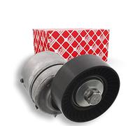 FEBI BILSTEIN Tendicinghia, Cinghia Poly-V 19553 Compatibile con: FORD ESCORT VI, ESCORT VI Stufenheck, ESCORT VI Turnier, FIESTA III, FIESTA IV, FIESTA Kasten/Großraumlimousine