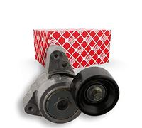 FEBI BILSTEIN Tendicinghia, Cinghia Poly-V 31255