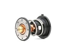 FEBI BILSTEIN 105993 Termostato motore 87°C