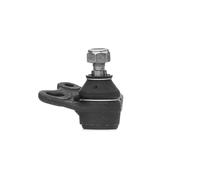 FEBI BILSTEIN Testina braccio oscillante Anteriore Sx Anteriore Dx 31334