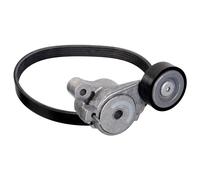 Febi Cinghia A V Righe Per Audi Seat Skoda VW