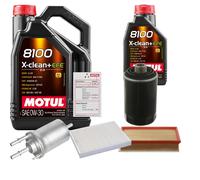 FEBI Controllo Set 6L MOTUL 8100 X-CLEAN 0W-30 Per VW Multivan VI 2.0 TSI