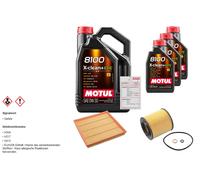 Febi Controllo Set 8L Motul 8100 x-Pulire 0W-30 per BMW X6 xDrive35i