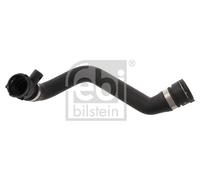 FEBI Flessibile radiatore BMW 2,0 2,5 11531705224 M52B20(206S3) M52B25(256S3)