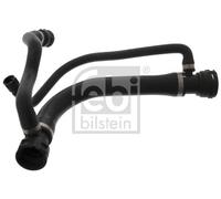 FEBI Flessibile radiatore BMW 3,6 4,4 17127526954 N62B36A N62B44A