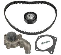 Febi Pompa Acqua + Kit Cinghia Distribuzione per Ford Corriere Fiesta