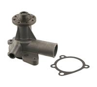 Febi Pompa Dell'Acqua + Guarnizione Per Ford Granada Scorpio Sierra Transit