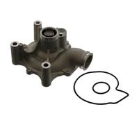 Febi Pompa Dell'Acqua + Guarnizione Per Mini