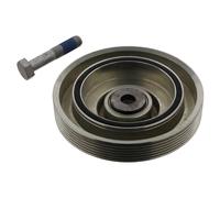 Febi Puleggia Albero a Gomiti per Citroen