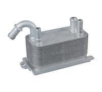 Febi Radiatore Olio Motore per Ford