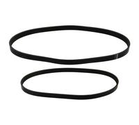 Febi Set Cinghia Scanalata per Ford Focus