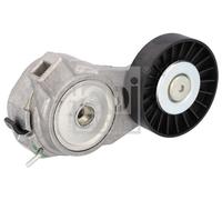 FEBI Tendicinghia Cinghia Poly-V 2,0 2,3 4898755 55562632 B204E B204I B204L