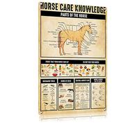 FEBIOAW Targa in metallo vintage con infografica con illustrazione scientifica degli animali, poster per la cura dei cavalli, per scuola, cucina, decorazione per la casa, educazione per bambini
