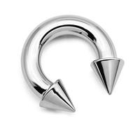 FECTAS PA Anello Principe Alberto Piercing Filettato internamente a bilanciere Circolare Ferro di Cavallo Spike 10G 16mm in Acciaio Chirurgico Gioielli per Il Corpo per Uomini Donne Argento