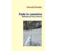 Fede in cammino. Meditazioni di inizio millennio