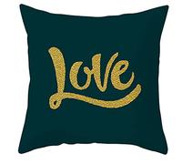 Federa Cuscino 40x40 Amore Oro Verde Cuscini per Divano in Pelliccia Morbida Lavabile a Macchina Copri Cuscini per Divano Per Salotto Letto e Ufficio Copricuscini 40x40