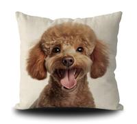 Federa decorativa per cuscino con cane e barboncino divertente, per divano, letto, amanti dei cani, in lino, 40,6 x 40,6 cm, double face, stile 4