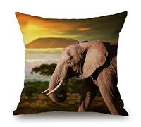 Federa decorativa per cuscino con elefante africano nella prateria, stile rustico, per divano, divano, inaugurazione della casa, decorazione per la casa, cotone e lino, 45,7 x 45,7 cm