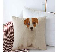 Federa per Cuscino 45x45cm, Russel Jack Russell Terrier Sits Front White Animals Wildlife Little Breed Cute Dog On Doggy Fodere Cuscini Elegante Sedia Divano Copricuscini