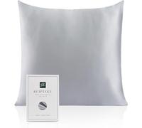 Federa per cuscino al 100% in seta da 22 momme, certificata Oeko-TEX®, benefica per i capelli e per la pelle, anti età e antiacaro, 40 x 40 cm (grigio)