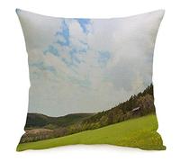 Federa per cuscino Blue Angle Beautiful Spring Landscape Hunting Box On Nature Wild Parks Brown Animals Area Autumn Cozy Linen Square Decorative Throw Pillow Covers per divano letto 18x18 pollici