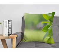 Federa per cuscino Cerchio Verde Foglie a destra Sotto Vista astratta Primo piano Ecologia Effetto Ambiente Accogliente Lino Quadrato Decorativo Fodere per cuscini per divano letto 18x18 polli