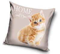 Federa per cuscino con stampato gattini, 40 x 40 cm (PNL214094)
