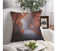 Federa per cuscino da lancio Amazing Autumn Red Forest Speed Day Way Orange Fall Road Fog Dark Nature Parks Fairy Trees Outdoor Throw Pillow Cover Cuscino quadrato per divano sedia Biancheria da let