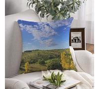 Federa per cuscino da tiro Collina Italia Bari Paesaggio Puglia Campo di mais Immaturo Relax Vista da parchi i dominati Federa per cuscino da esterno Cuscino quadrato per divano Sedia Bianche