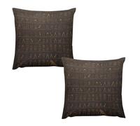 Federa per cuscino decorativa con geroglifico egiziano antico, 2 pezzi, morbida federa quadrata in peluche, decorazione per esterni, per divano, letto, soggiorno, camera da letto, 55,9 x 55,9 cm