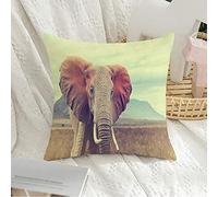 Federa per cuscino Decorativa Federa quadrata Morbida da viaggio Grande elefante africano selvaggio Effetto vintage Animali nazionali Fauna selvatica Africa Federa per cuscino in via di estin