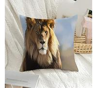 Federa per cuscino Decorativa Federa quadrata Morbida leone maschio All Danger Leo His Beautiful Fur Glory Animali Chiudi Esotico Baffo Fauna selvatica Faccia Testa Cuscino Federa per divano Camera
