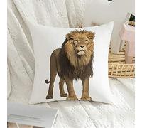 Federa per cuscino Decorativa Federa quadrata Morbida Leone maschioStanding Panthera Leo 10 anni Animali Animali Fauna selvatica Felino Carnivoro Studio Federa per cuscino per divano Camera da letto