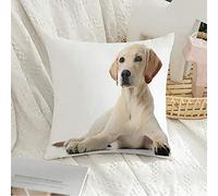 Federa per cuscino decorativa federa quadrata morbido beige adorabile bellissimo Labrador Retriever animali bianchi fauna selvatica razza marrone cura del cane primo piano federa per divano camera d