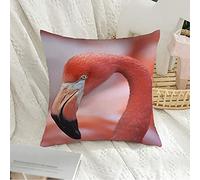 Federa per cuscino decorativa federa quadrata morbido blu primo piano fenicottero rosa uno la maggior parte degli animali fauna selvatica Africa animale bacino rosso eco becco Bill federa per