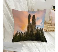 Federa per cuscino Decorativa Federa quadrata Morbido Mistero Bellezza scenica Blu Vieni in vacanza Insieme Viaggio nella foresta Questi animali Parchi selvatici Federa per cuscino da esterno per di