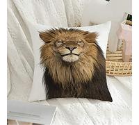 Federa per cuscino decorativo quadrato federa morbido bianco primo piano persone leone panthera leo 10 anni animali fauna selvatica adulto grande carnivoro taglio isolato federa per divano camera da