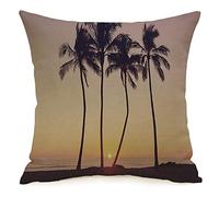 Federa per cuscino Federa colorata Baia Scena Tramonto hawaiano Parchi incredibili Arancione Spiaggia Bellezza Nuvole Colore Accogliente Lino Quadrato Decorativo Fodere per cuscini per