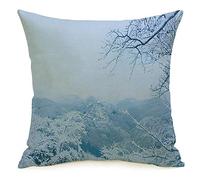 Federa per cuscino Foresta dopo l'argento Vista Nevicata Inverno Albero Boschetto Crepuscolo Gelo Meraviglia Nebbia Parchi Ghiaccio all'aperto Accogliente Lino Copricuscino decorativo quadrat