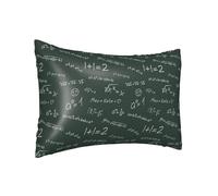 Federa per cuscino in seta per capelli e pelle Queen - Federa per cuscino rinfrescante per dormire, dimensioni standard 50,8 x 76,2 cm, stampa matematica equazione della formula, federa in raso con