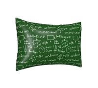 Federa per cuscino in seta per capelli e pelle Queen - Federa per cuscino rinfrescante per dormire, dimensioni standard, 50,8 x 76,2 cm, equazione matematica, stampa a blocchi verdi, federa in raso