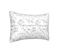 Federa per cuscino in seta per capelli e pelle Queen - Federe rinfrescanti per dormire dimensioni standard 50,8 x 76,2 cm, stampa equazione matematica blocco federa in raso con cerniera, regalo per