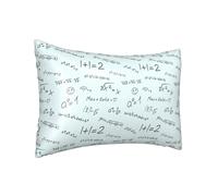 Federa per cuscino in seta per capelli e pelle Queen - Federe rinfrescanti per dormire, dimensioni standard, 50,8 x 76,2 cm, stampa matematica equazione, federa in raso con cerniera, regalo per donne