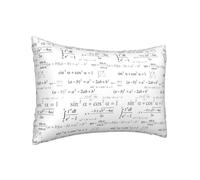 Federa per cuscino in seta per capelli e pelle Queen - Federe rinfrescanti per dormire, dimensioni standard, 50,8 x 76,2 cm, formula equazione, stampa a blocchi matematici, federa in raso con cerniera