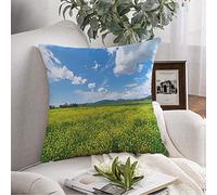 Federa per cuscino Italia Toscana Grosseto Maremma Fieno verde Paesaggio rurale Nuvole Agriturismo Parchi i Federa per cuscino da esterno Cuscino quadrato per divano Sedia Biancheria da letto