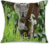 Federa per Cuscino Koala Bear Wild Aussie Zoo Sit Species Outback Animals Australia Wildlife Relaxation Natural Fodere Cuscini Elegante Quadrato Federa, per Letto, Stanza, 45x45cm