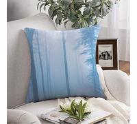 Federa per cuscino Mood Autumn Europian Ray Forest Dark Woods Mist Fall Rainy Atmosfere with Europe Nature Blue Czech Throw Pillow Cover Cuscino quadrato per divano letto 45,7 x 45,7 cm
