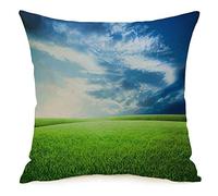 Federa per cuscino motivo campo verde sotto il cielo blu erba bellezza parchi tranquilli all'aperto verde agricoltura accogliente lino quadrato decorativo federe per divano letto 18x18 pollic