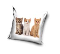 Federa per cuscino, motivo gatti, 40 x 40 cm (PNL215078)